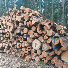 Lade das Bild in den Galerie-Viewer, Stammholz Birke - landree - holzhof