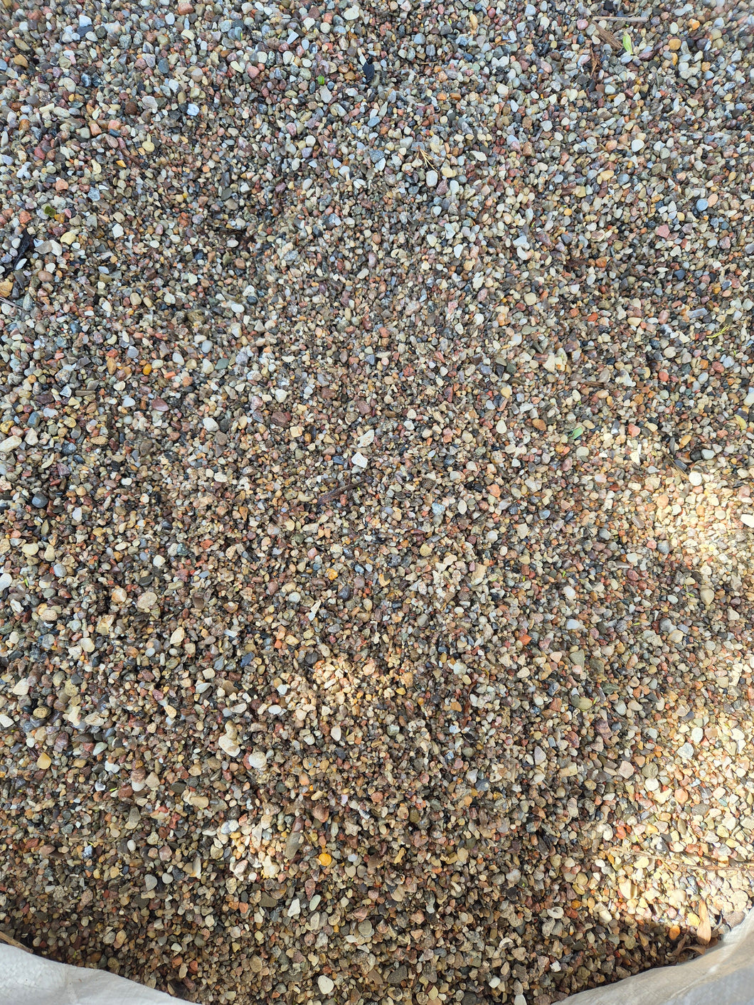 Ostsee bunt Kiesel 2 - 8 - landree - holzhof