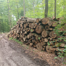 Lade das Bild in den Galerie-Viewer, Stammholz - landree - holzhof
