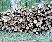 Lade das Bild in den Galerie-Viewer, Stammholz - landree - holzhof
